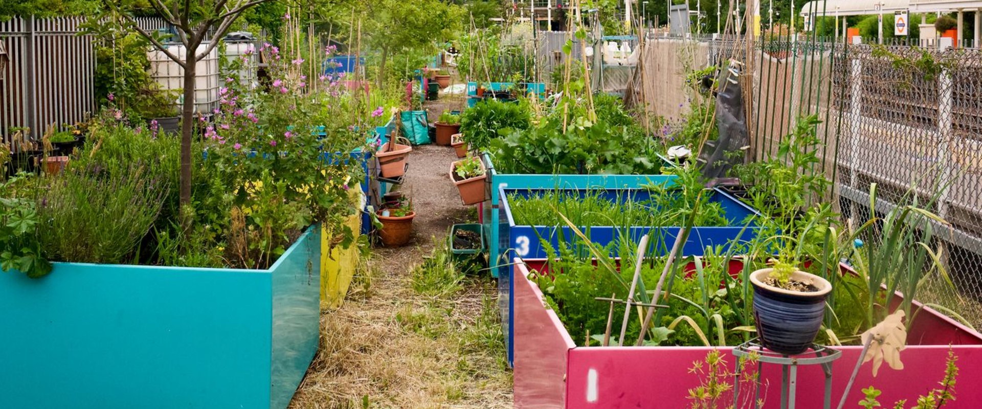 Engaging Local Communities in London: How Urban Farmers Can Make a Difference