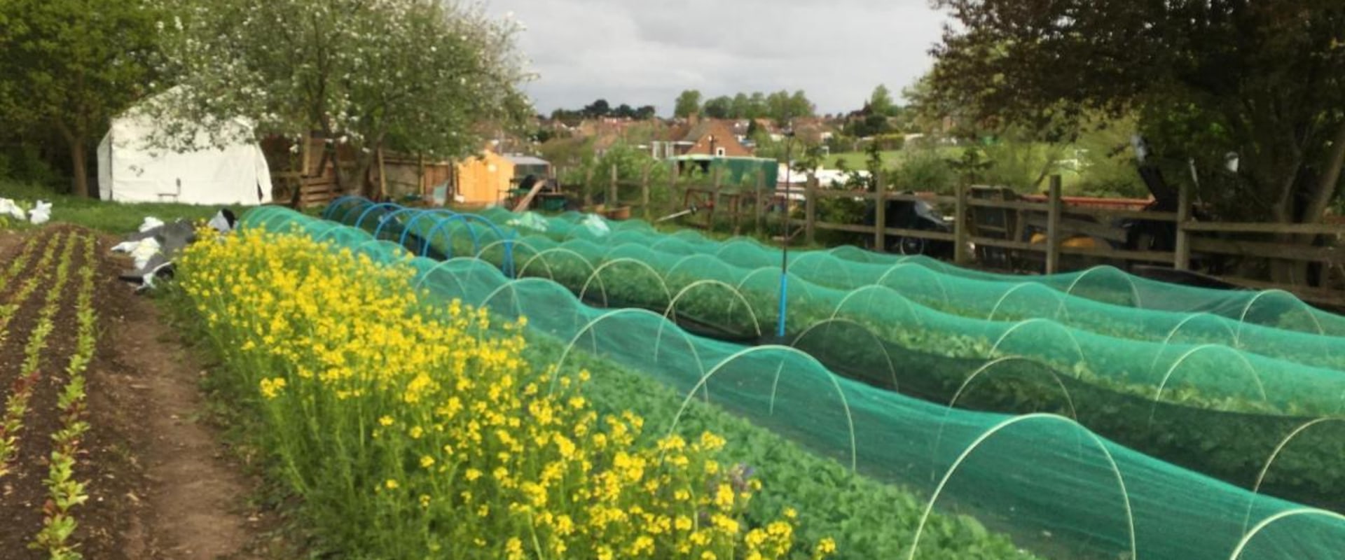 Exploring the Magic of Urban Farms in London
