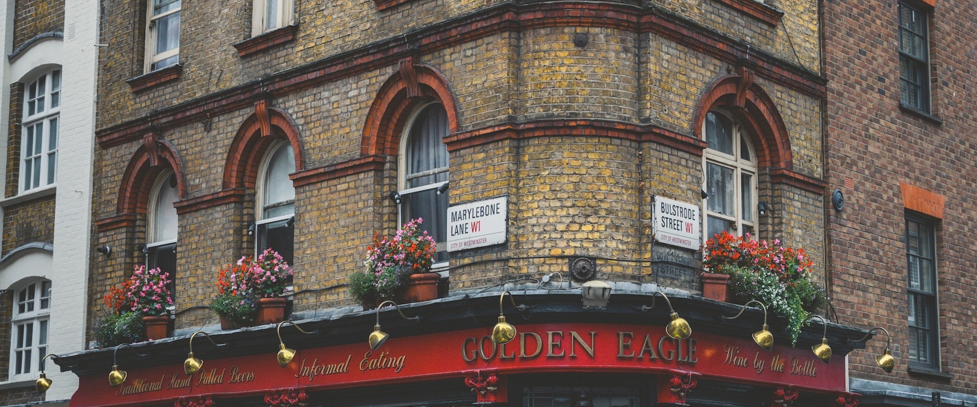 Growing Green In The Concrete Jungle: The Benefits Of Urban Farming In London