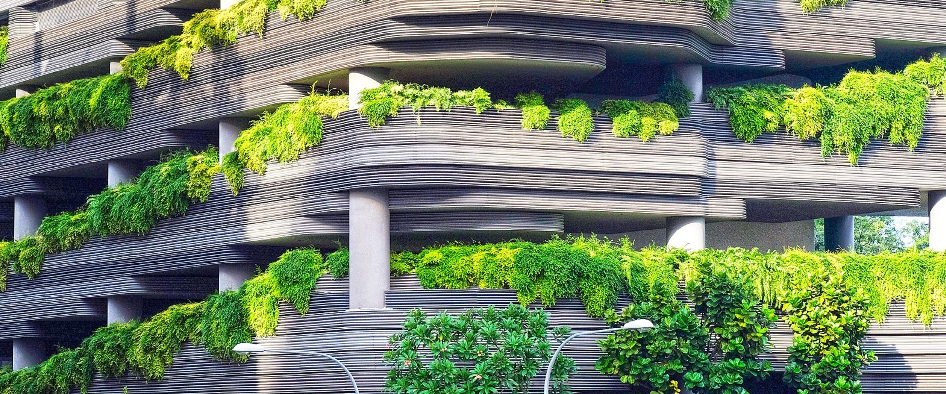 Urban Farming: A Solution to Improve Air Quality in London