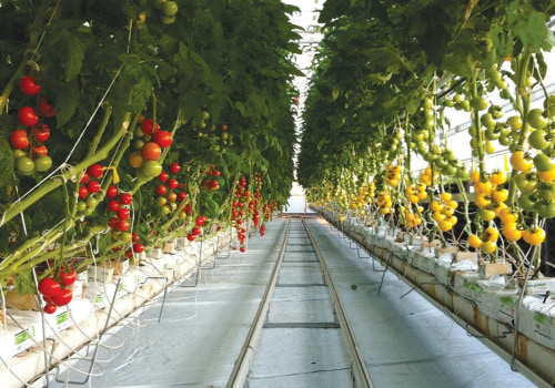 Collaborating with Local Businesses and Organizations for Urban Farming in London