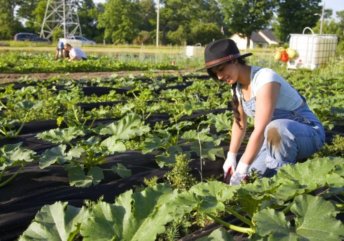 Urban Farming in London: A Comprehensive Guide to a Healthier and More Sustainable Future