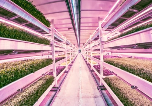 Exploring the Evolution of Urban Farming in London